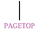 pagetop